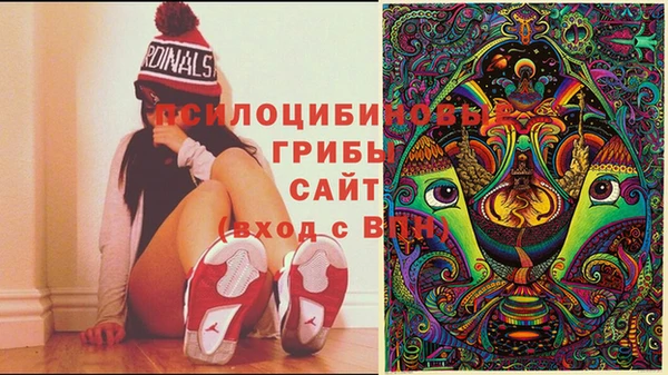 прущая мука Аркадак